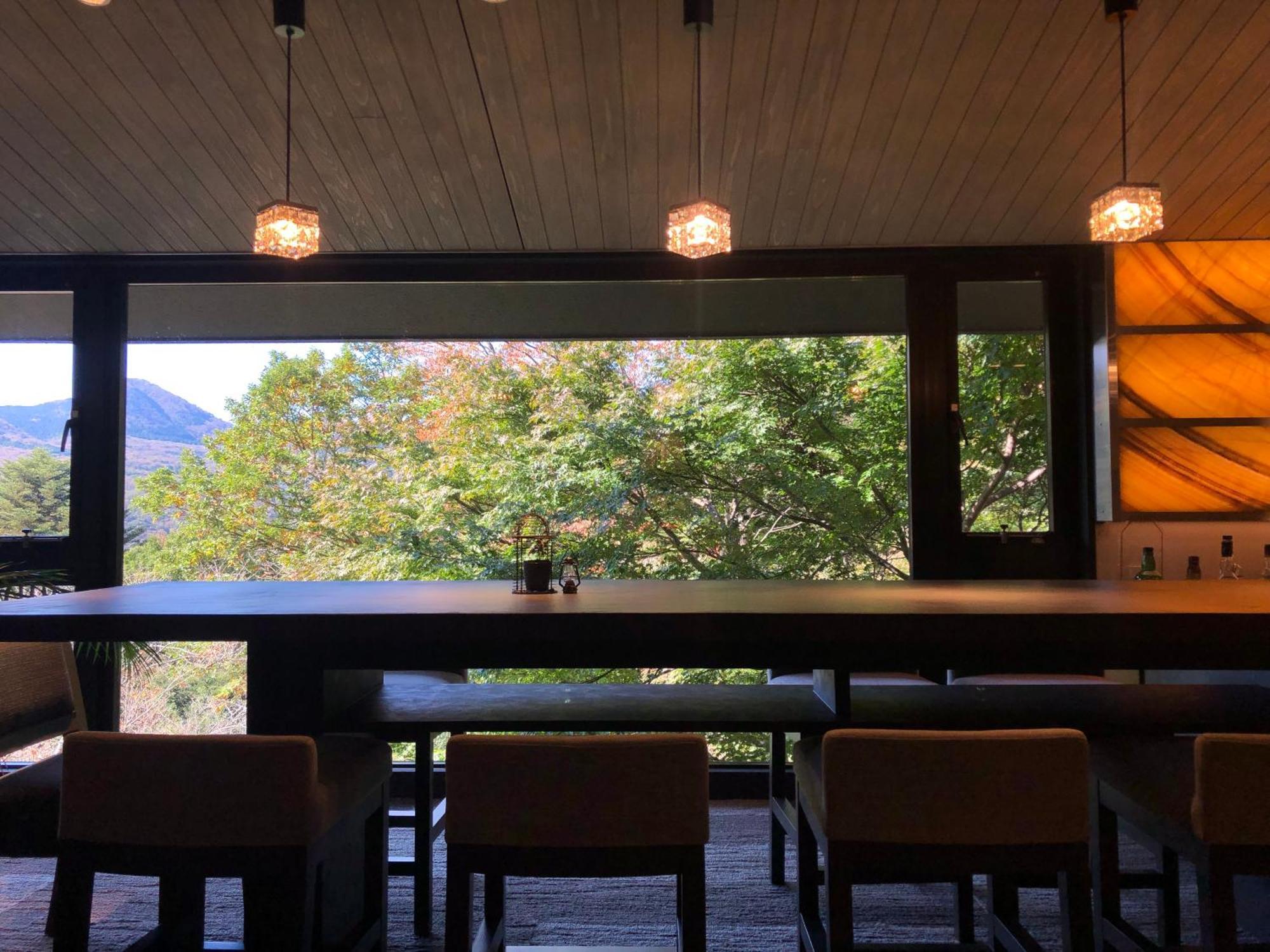 Hakone Elecasa Hotel And Spa Exterior photo